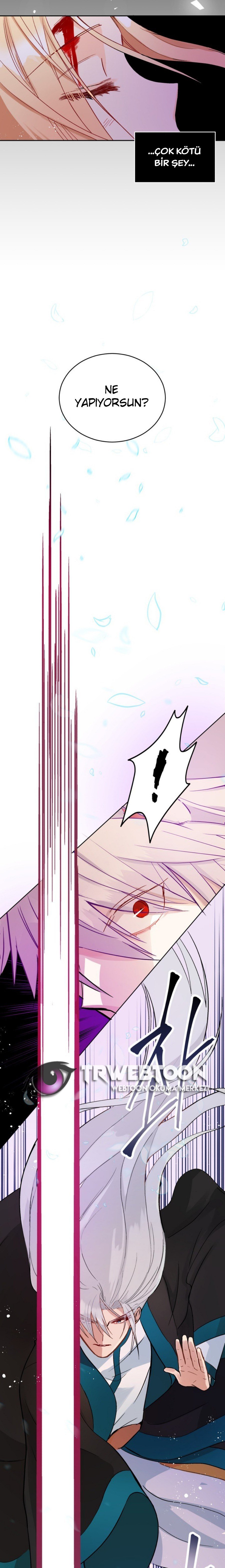 Sözleşmeli Cariye Bölüm 29 - Sayfa 4