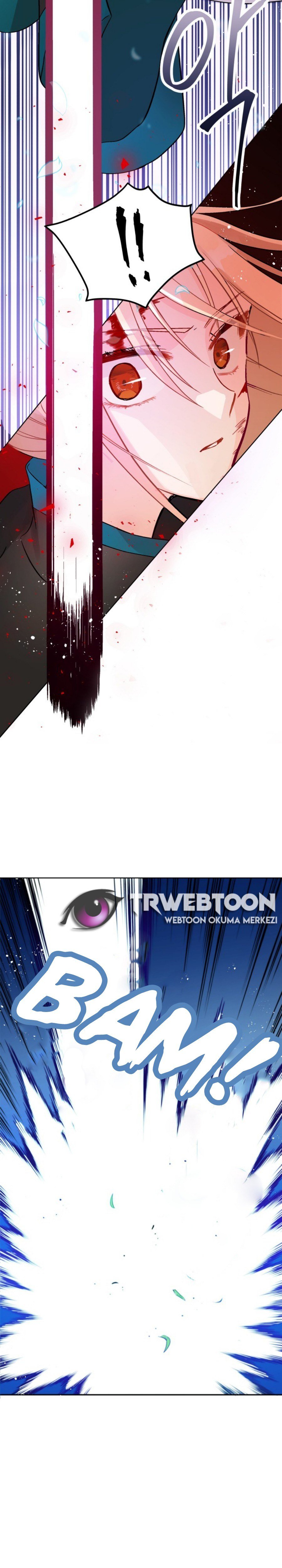 Sözleşmeli Cariye Bölüm 29 - Sayfa 5