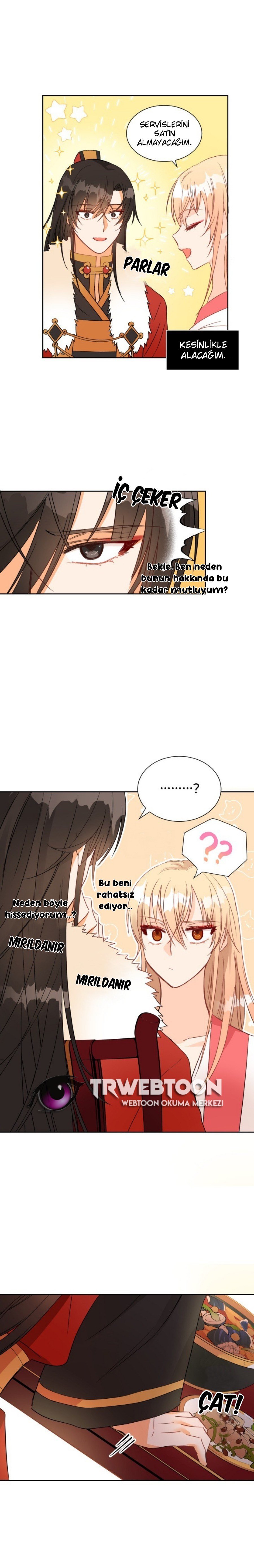 Sözleşmeli Cariye Bölüm 34 - Sayfa 12