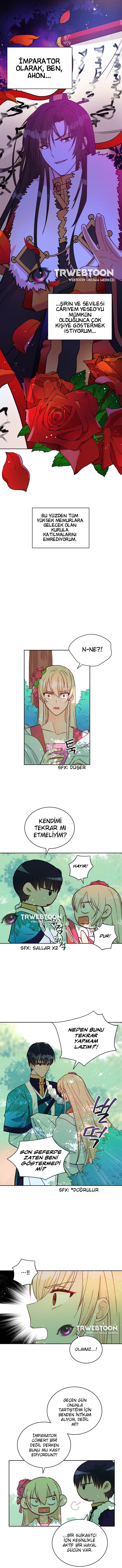 Sözleşmeli Cariye Bölüm 41 - Sayfa 9