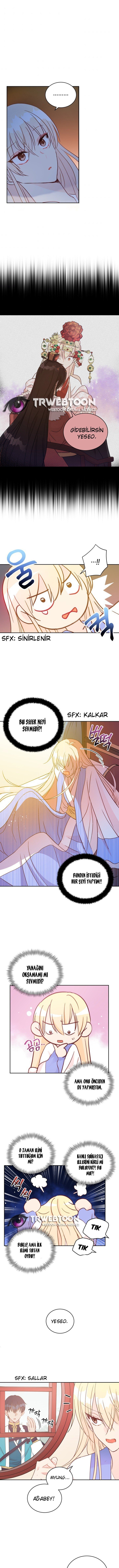 Sözleşmeli Cariye Bölüm 43 - Sayfa 3