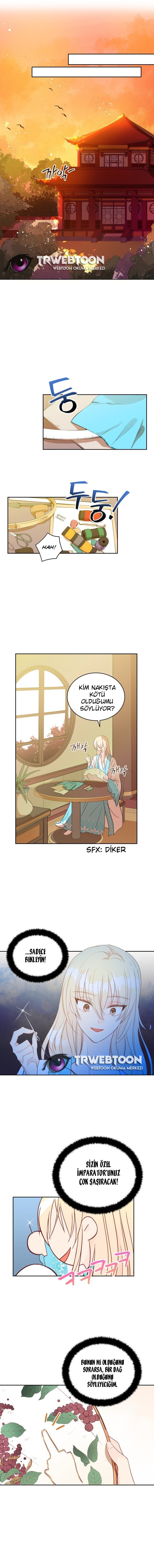 Sözleşmeli Cariye Bölüm 43 - Sayfa 5