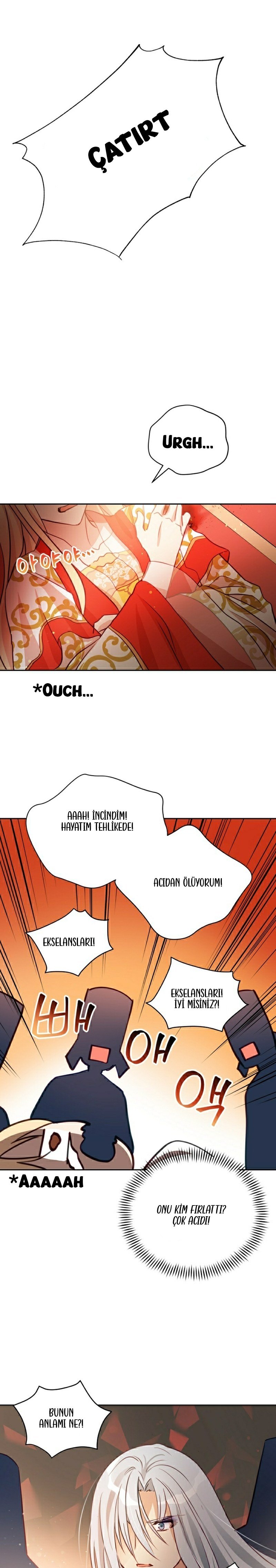 Sözleşmeli Cariye Bölüm 58 - Sayfa 17
