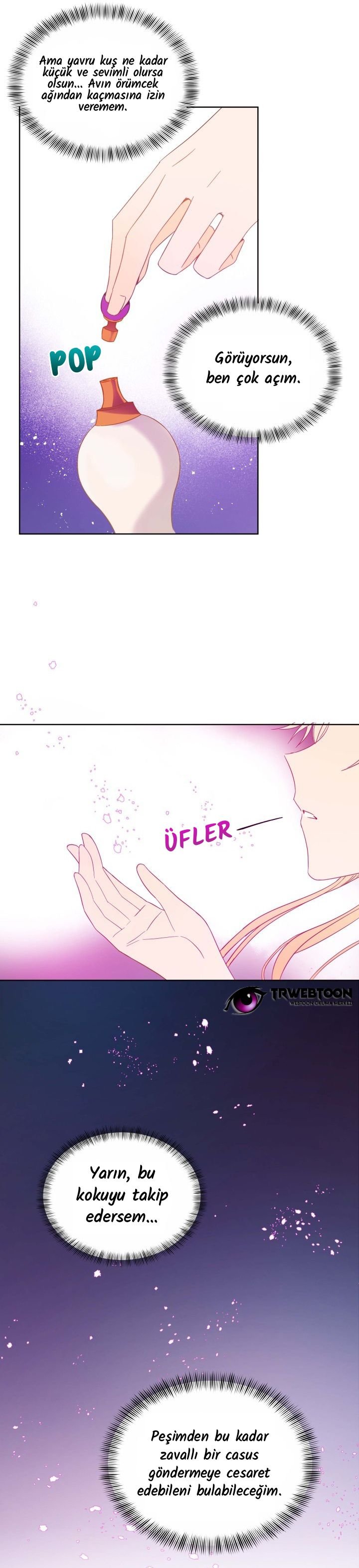 Sözleşmeli Cariye Bölüm 6 - Sayfa 17