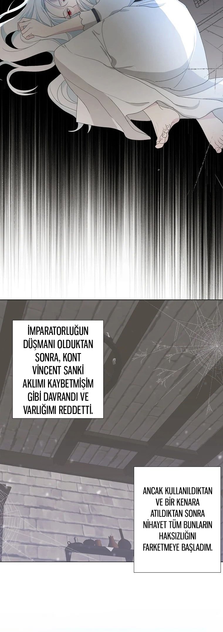 Yanlışlıkla Dük’ü Evcilleştirdim İLK BÖLÜMÜ OKUMAYA GİT - Sayfa 13