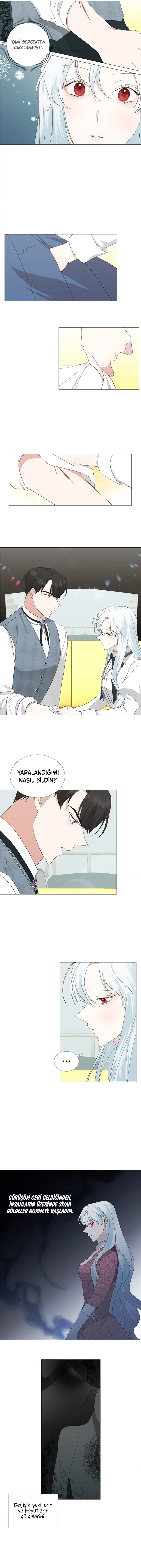 Yanlışlıkla Dük’ü Evcilleştirdim Bölüm 10 - Sayfa 3