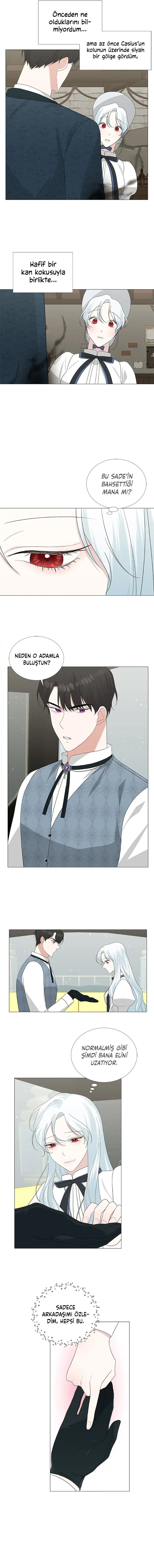 Yanlışlıkla Dük’ü Evcilleştirdim Bölüm 10 - Sayfa 4