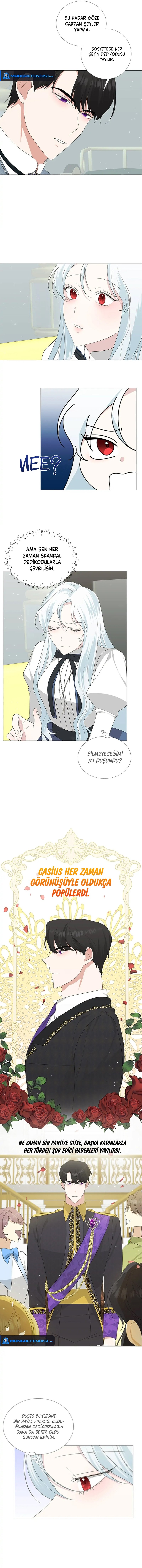 Yanlışlıkla Dük’ü Evcilleştirdim Bölüm 10 - Sayfa 5