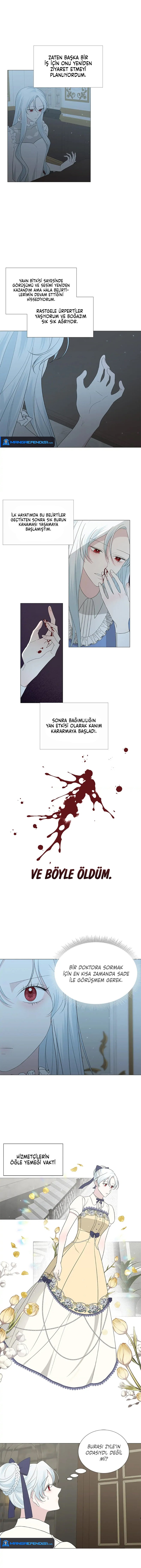 Yanlışlıkla Dük’ü Evcilleştirdim Bölüm 12 - Sayfa 2