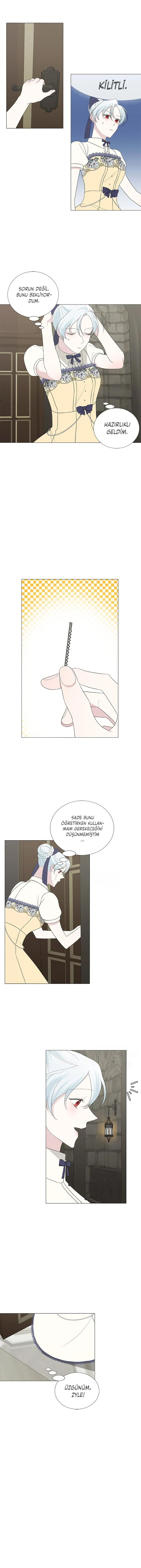 Yanlışlıkla Dük’ü Evcilleştirdim Bölüm 12 - Sayfa 3