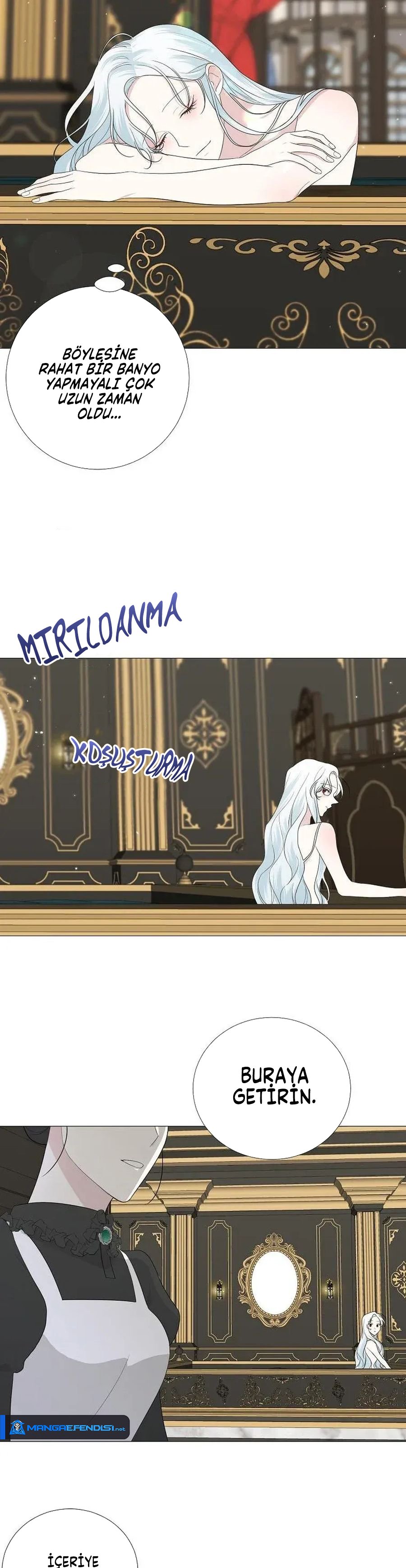 Yanlışlıkla Dük’ü Evcilleştirdim Bölüm 13 - Sayfa 2