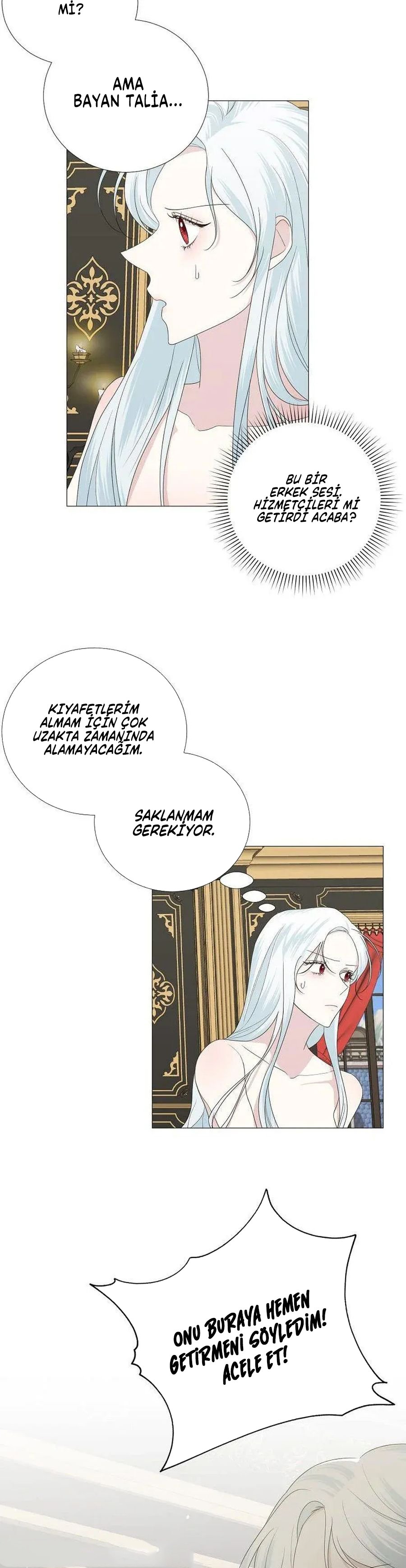 Yanlışlıkla Dük’ü Evcilleştirdim Bölüm 13 - Sayfa 3