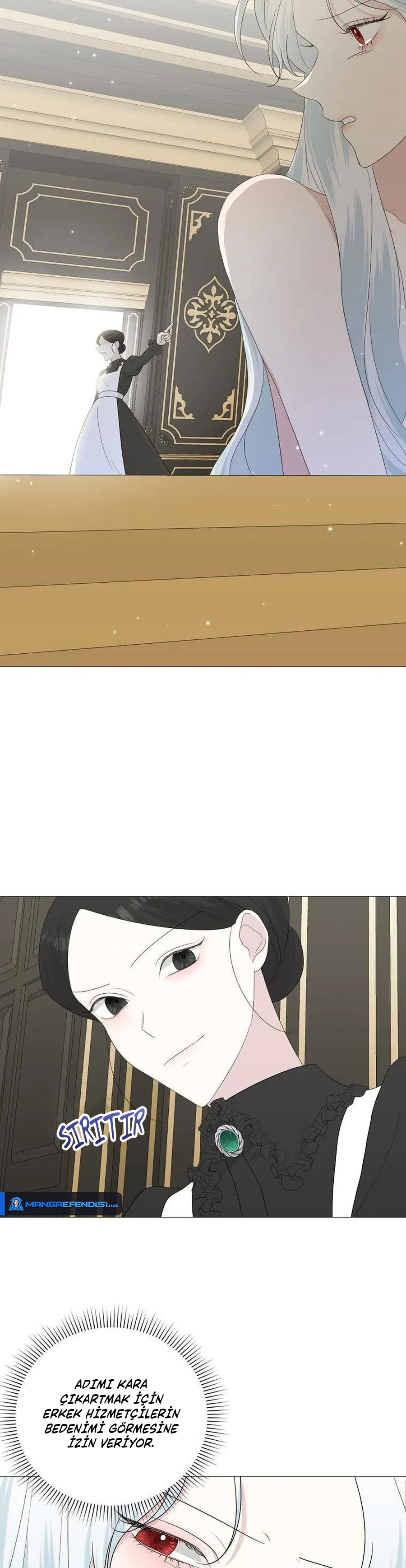 Yanlışlıkla Dük’ü Evcilleştirdim Bölüm 13 - Sayfa 4