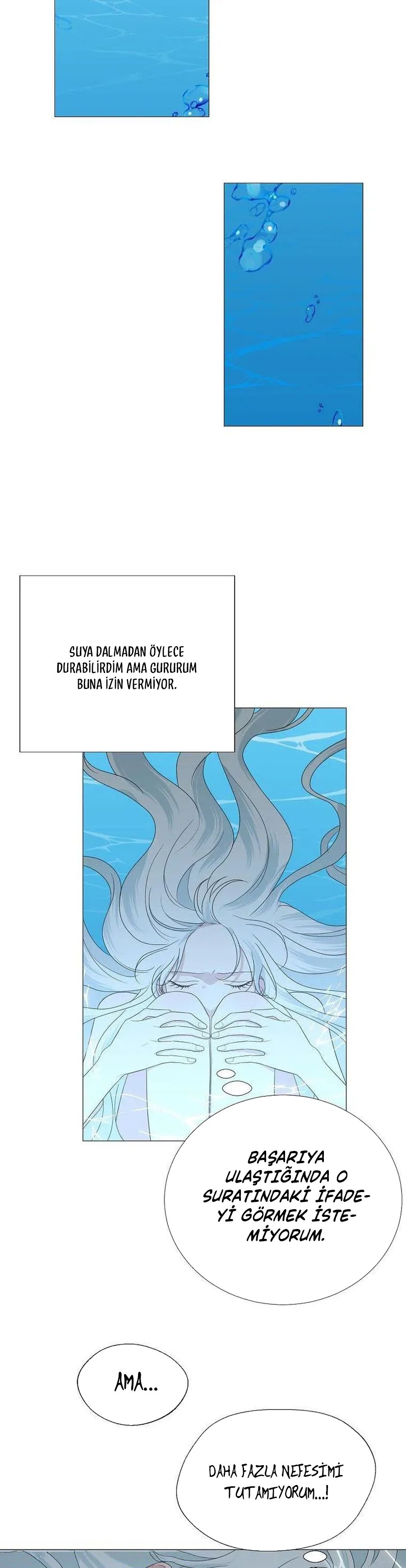 Yanlışlıkla Dük’ü Evcilleştirdim Bölüm 13 - Sayfa 6