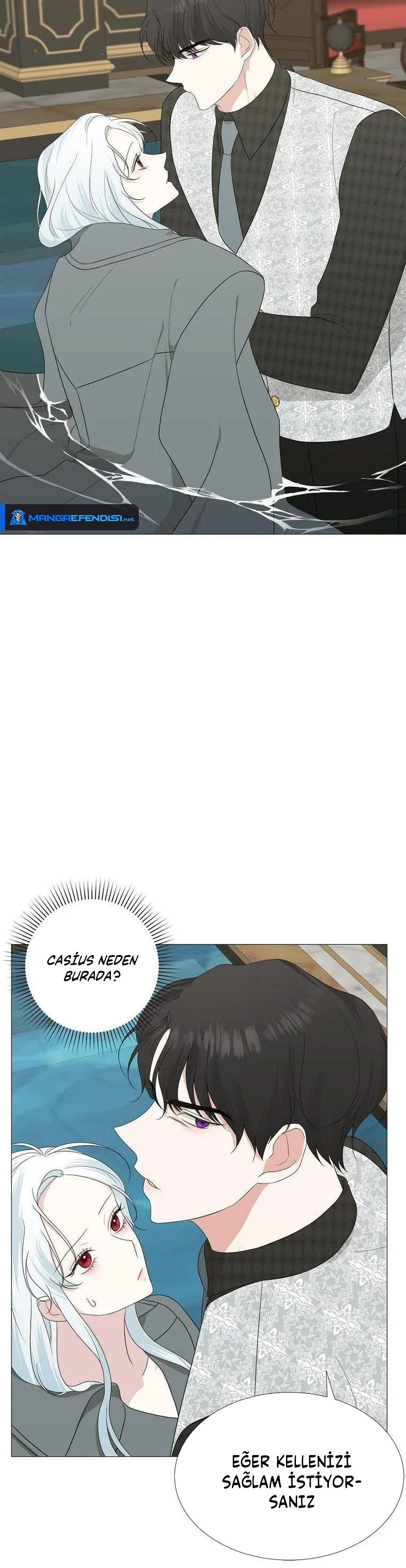 Yanlışlıkla Dük’ü Evcilleştirdim Bölüm 13 - Sayfa 9
