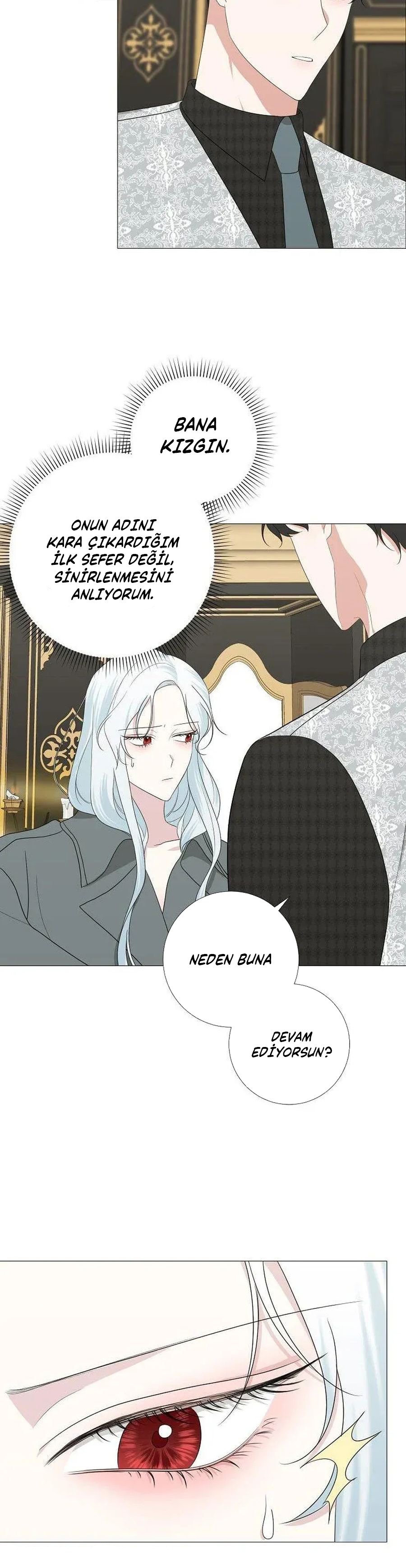 Yanlışlıkla Dük’ü Evcilleştirdim Bölüm 13 - Sayfa 11