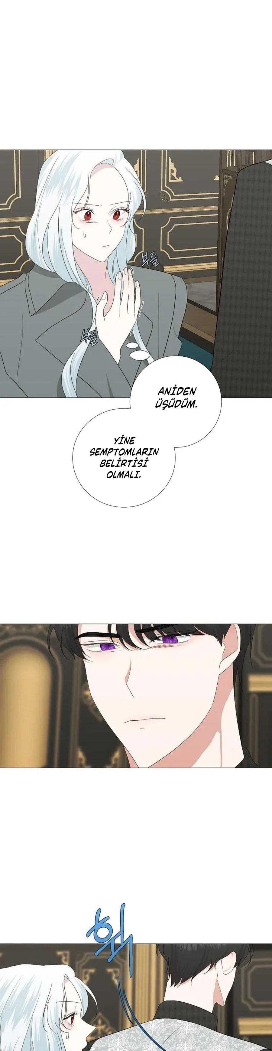 Yanlışlıkla Dük’ü Evcilleştirdim Bölüm 13 - Sayfa 12