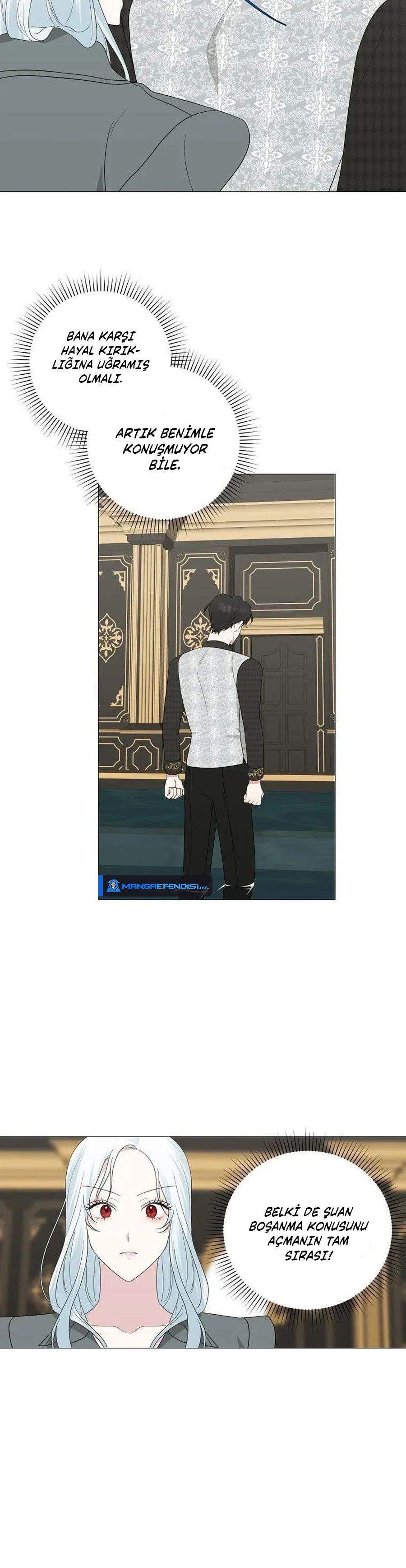 Yanlışlıkla Dük’ü Evcilleştirdim Bölüm 13 - Sayfa 13