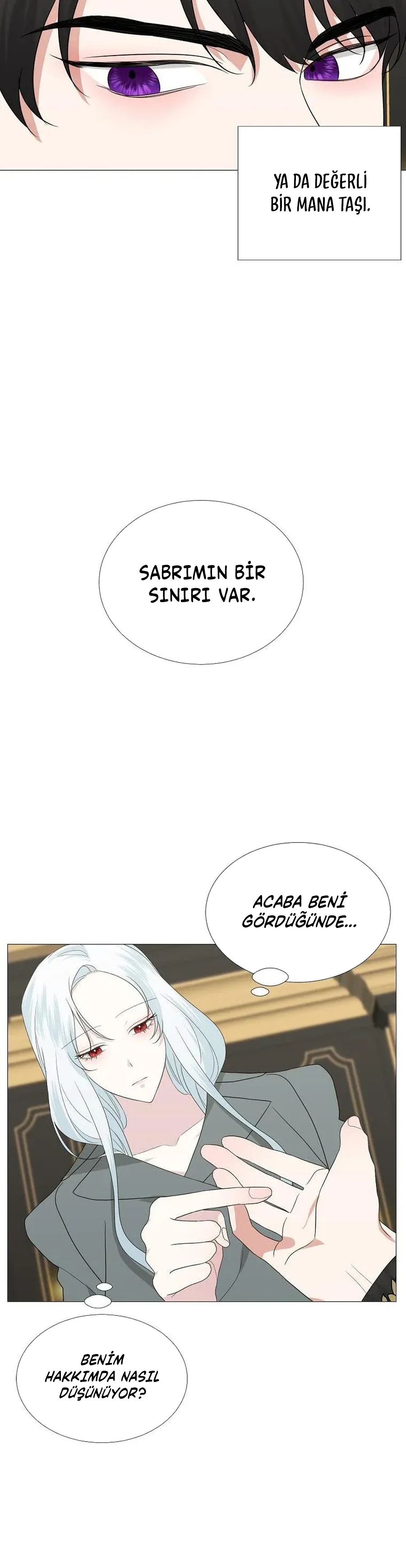 Yanlışlıkla Dük’ü Evcilleştirdim Bölüm 13 - Sayfa 15