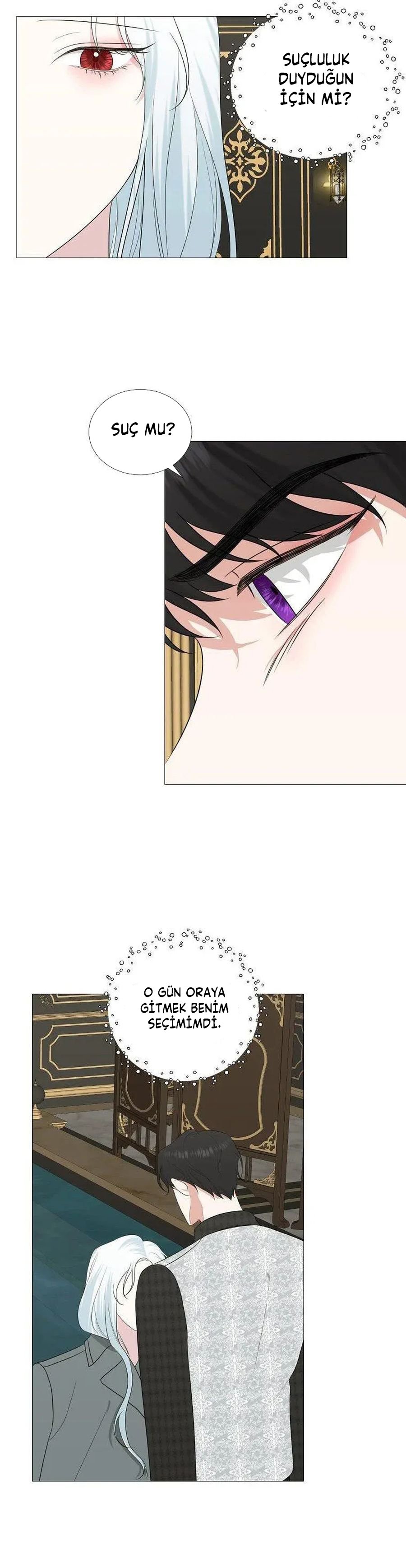 Yanlışlıkla Dük’ü Evcilleştirdim Bölüm 13 - Sayfa 17