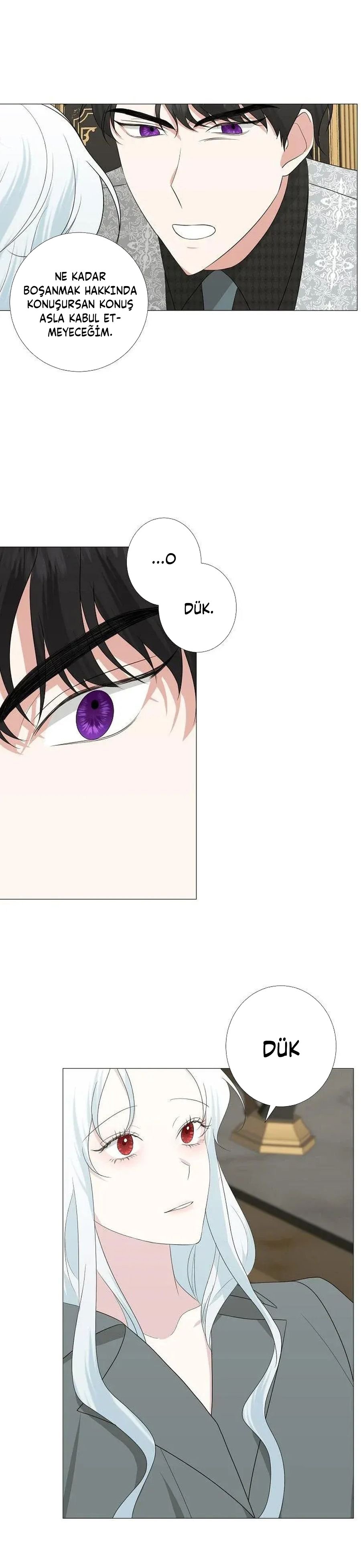 Yanlışlıkla Dük’ü Evcilleştirdim Bölüm 13 - Sayfa 23
