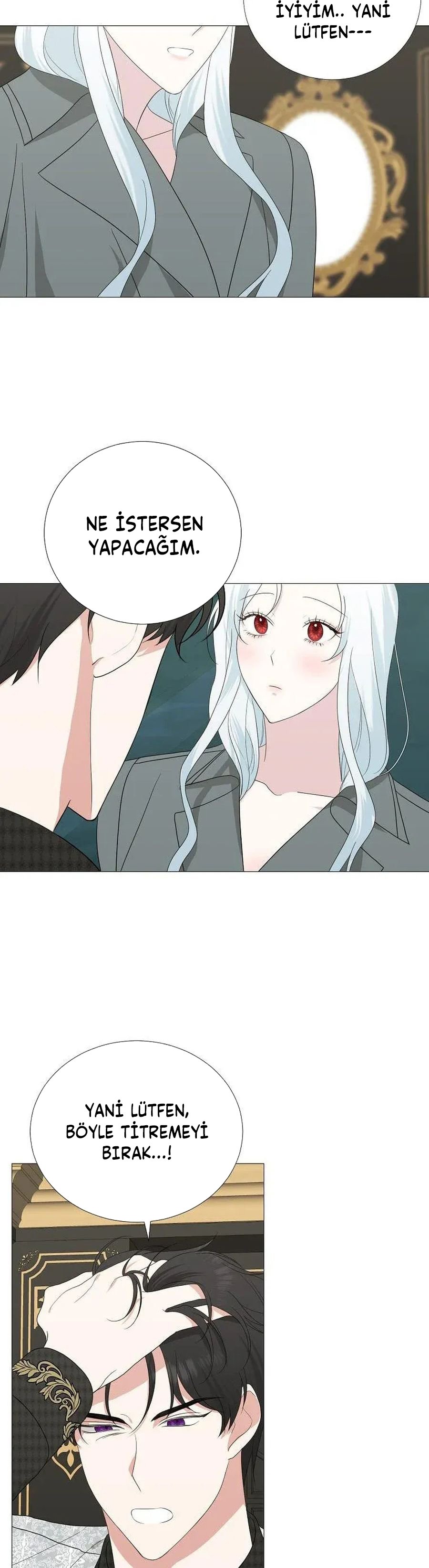 Yanlışlıkla Dük’ü Evcilleştirdim Bölüm 13 - Sayfa 27