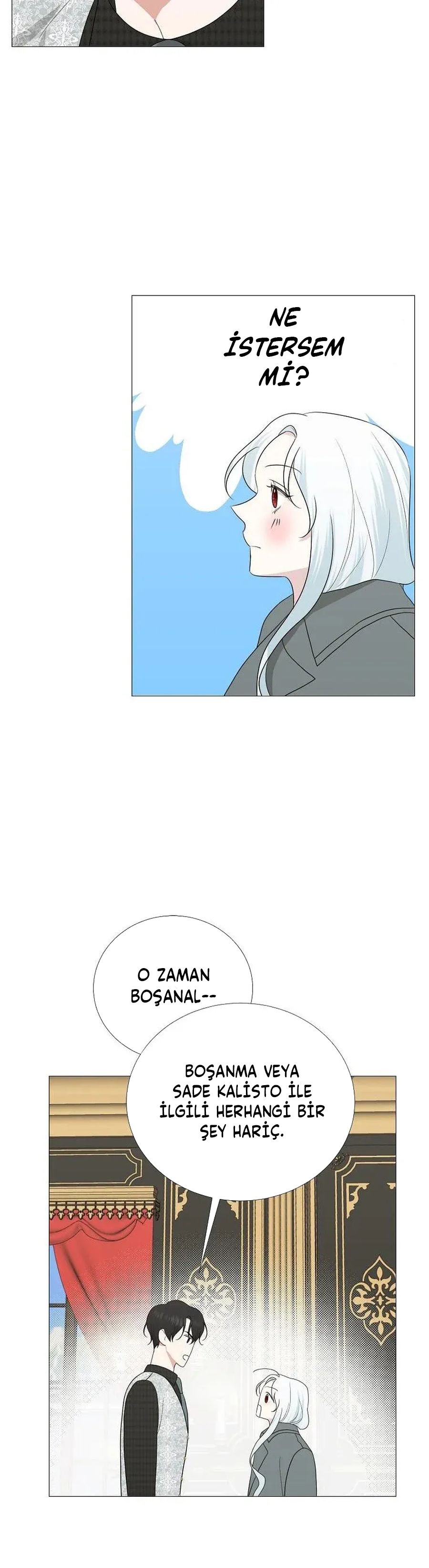 Yanlışlıkla Dük’ü Evcilleştirdim Bölüm 13 - Sayfa 28