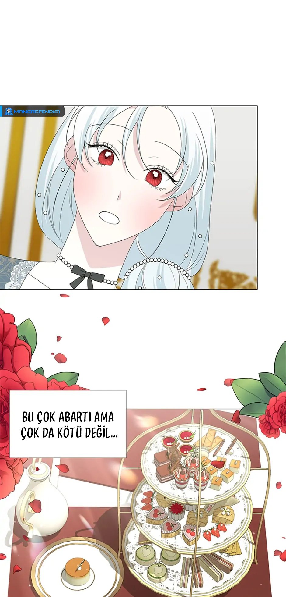 Yanlışlıkla Dük’ü Evcilleştirdim Bölüm 17 - Sayfa 20