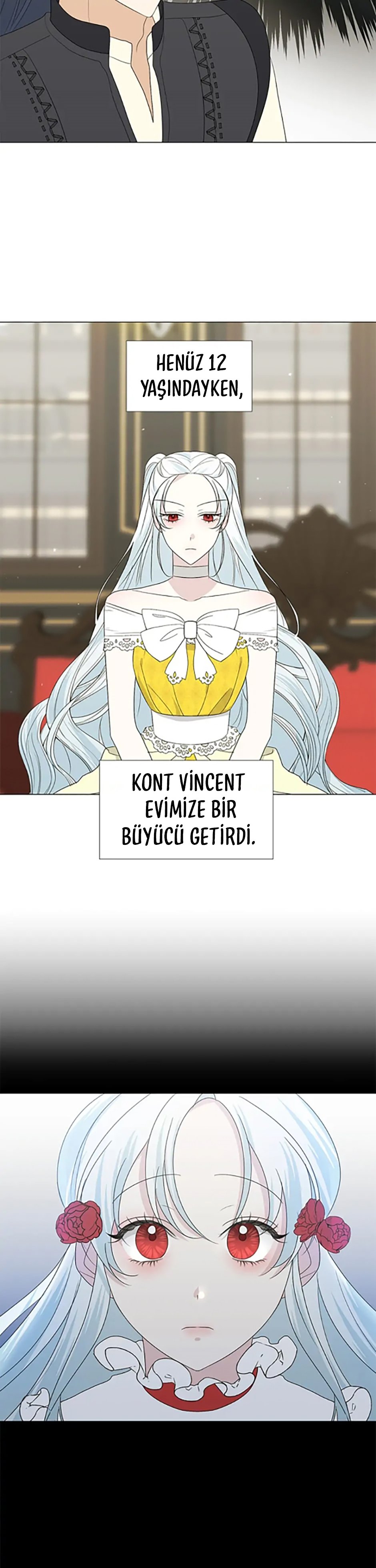 Yanlışlıkla Dük’ü Evcilleştirdim Bölüm 18 - Sayfa 13