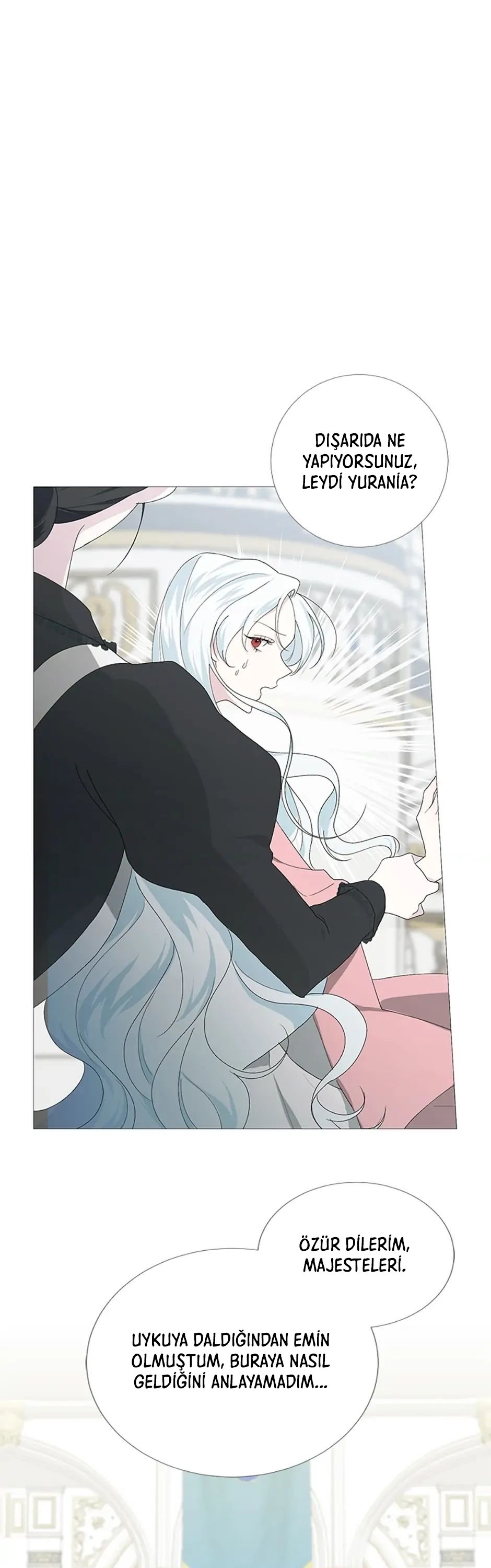 Yanlışlıkla Dük’ü Evcilleştirdim Bölüm 2 - Sayfa 1