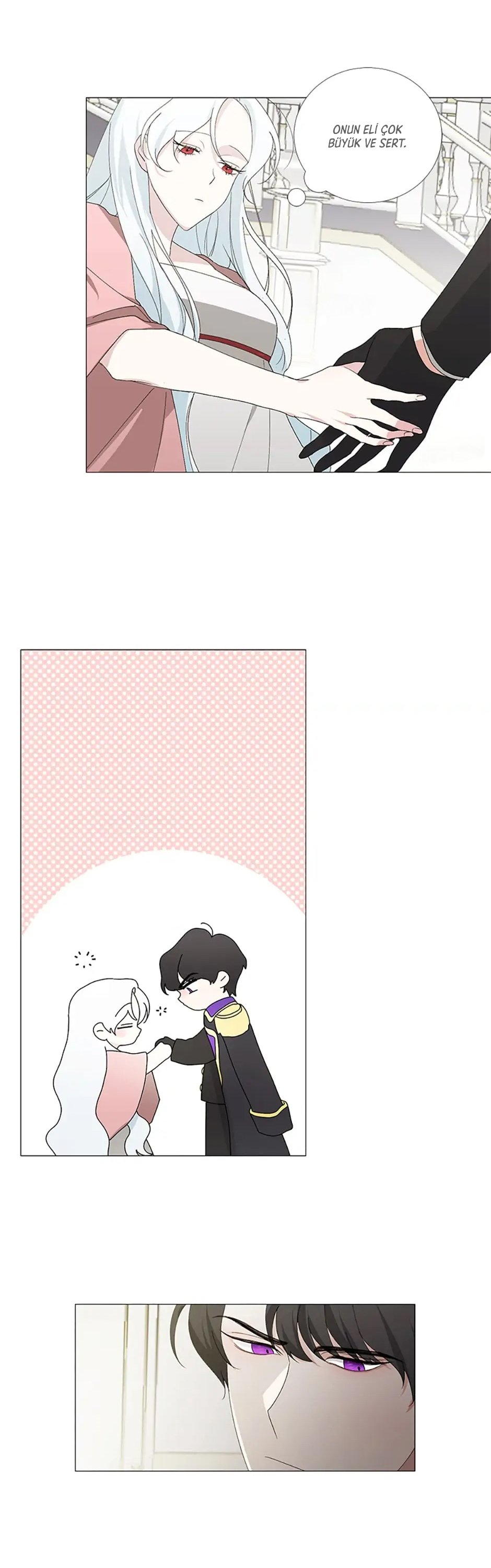 Yanlışlıkla Dük’ü Evcilleştirdim Bölüm 2 - Sayfa 11