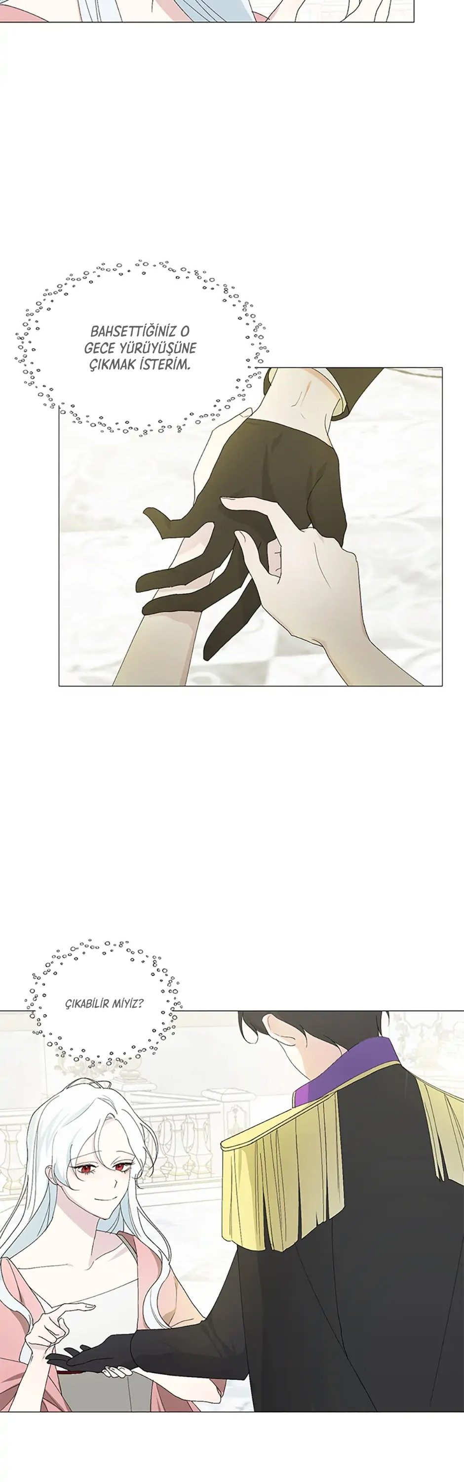 Yanlışlıkla Dük’ü Evcilleştirdim Bölüm 2 - Sayfa 13