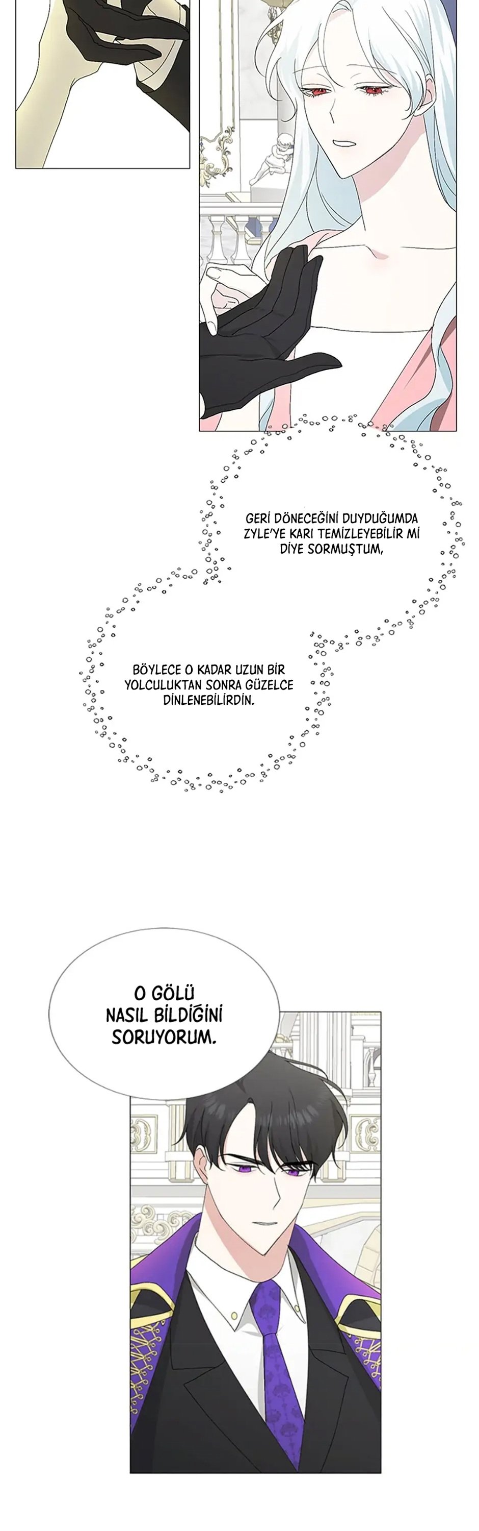 Yanlışlıkla Dük’ü Evcilleştirdim Bölüm 2 - Sayfa 20