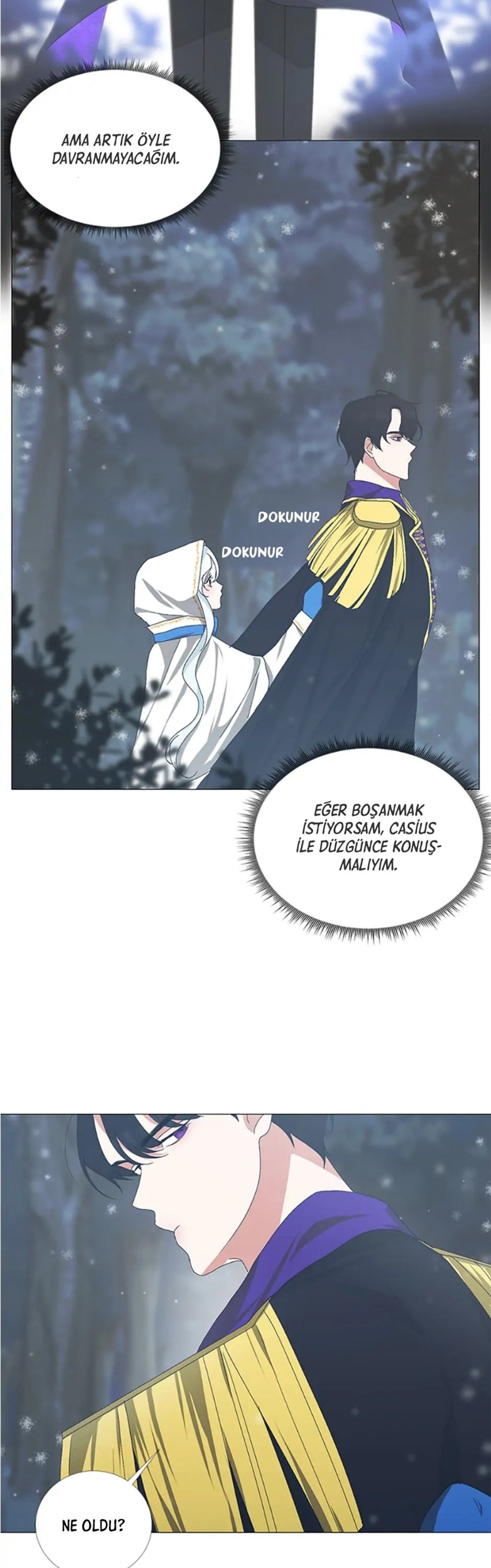 Yanlışlıkla Dük’ü Evcilleştirdim Bölüm 2 - Sayfa 30