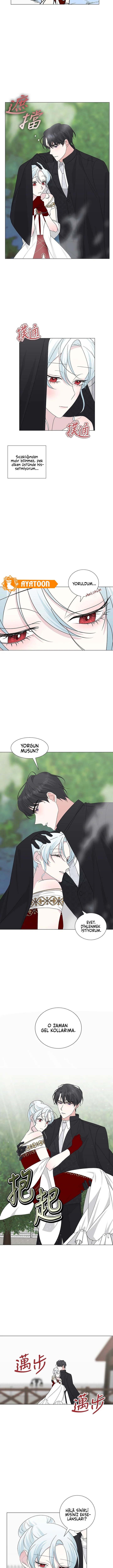 Yanlışlıkla Dük’ü Evcilleştirdim Bölüm 26 - Sayfa 7