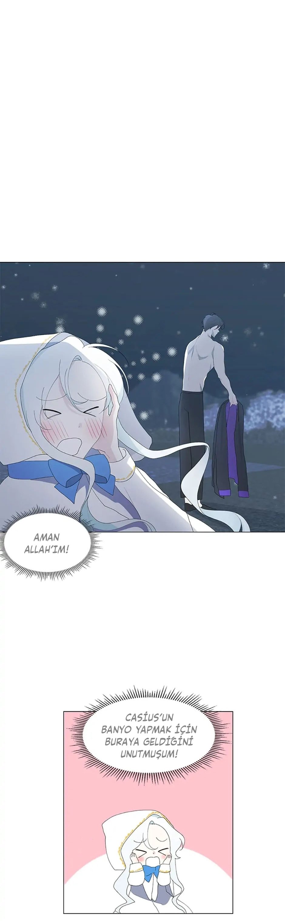 Yanlışlıkla Dük’ü Evcilleştirdim Bölüm 3 - Sayfa 17