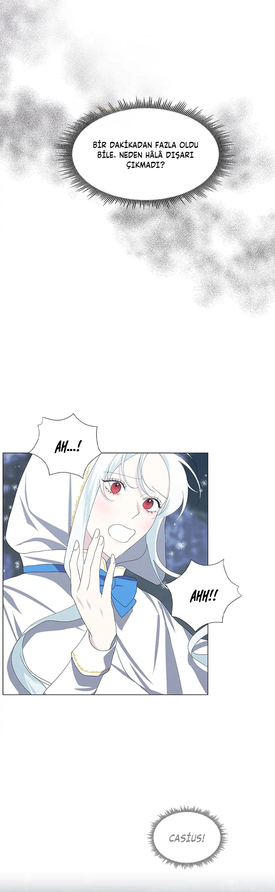 Yanlışlıkla Dük’ü Evcilleştirdim Bölüm 3 - Sayfa 21