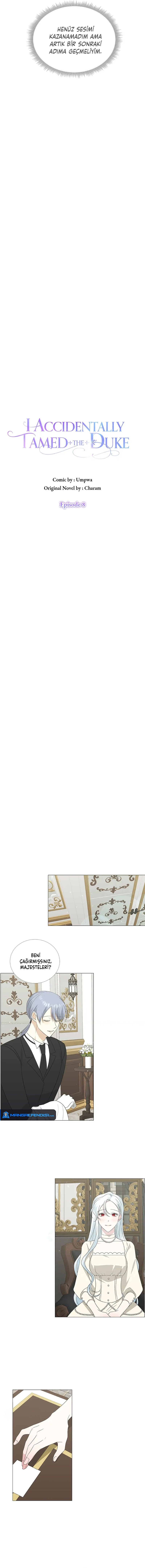 Yanlışlıkla Dük’ü Evcilleştirdim Bölüm 8 - Sayfa 2