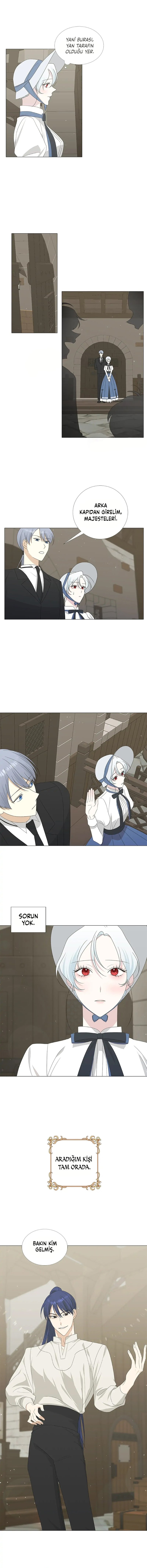 Yanlışlıkla Dük’ü Evcilleştirdim Bölüm 8 - Sayfa 6