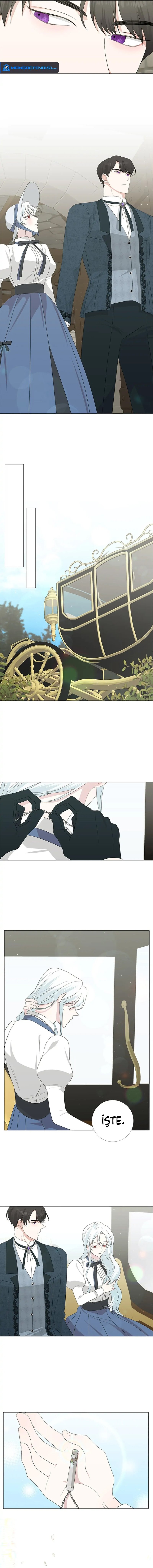 Yanlışlıkla Dük’ü Evcilleştirdim Bölüm 9 - Sayfa 8